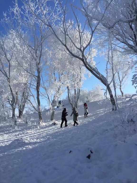 Songhua Lake Qingshan Snow View Apartment Jilin Екстериор снимка