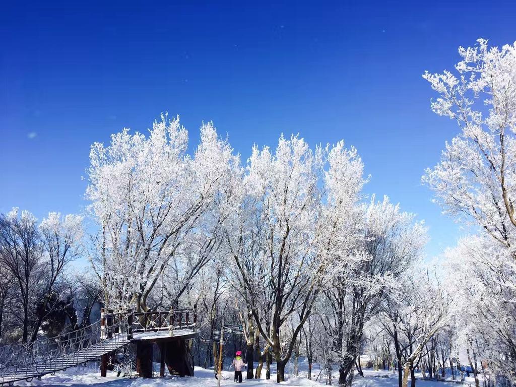 Songhua Lake Qingshan Snow View Apartment Jilin Екстериор снимка